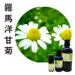 羅馬洋甘菊Chamomile Roman