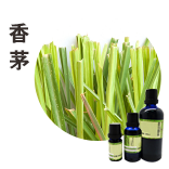 香茅Citronella