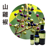 山雞椒Litsea Cubeba