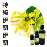 特級伊蘭伊蘭Ylang Ylang