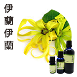 伊蘭伊蘭3rd Ylang Ylang