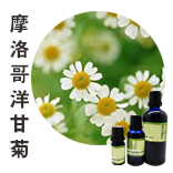 摩洛哥洋甘菊Chamomile