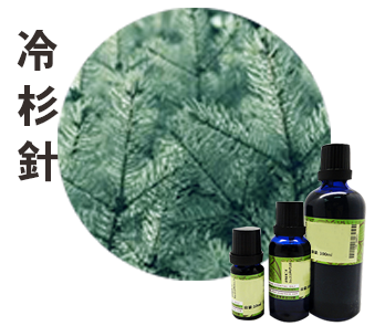 冷杉針(加拿大冷杉.香脂冷杉)